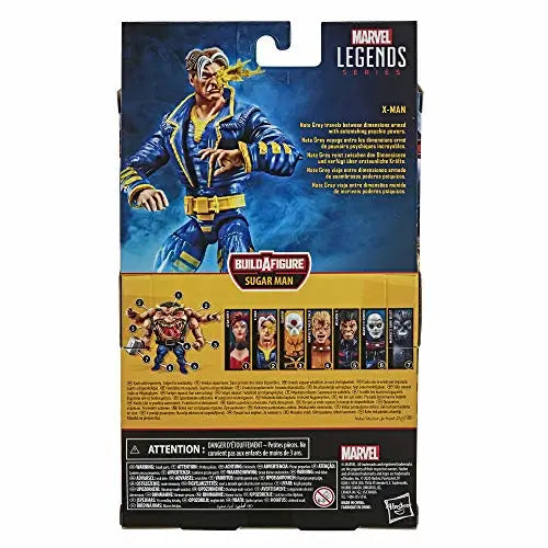 Hasbro E9172 Marvel Legends Series 15 cm große X-Man